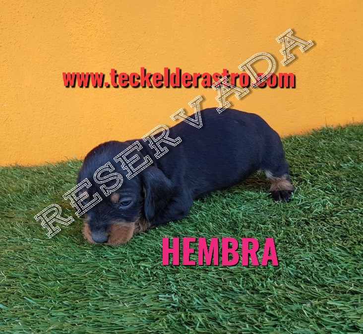 BEA