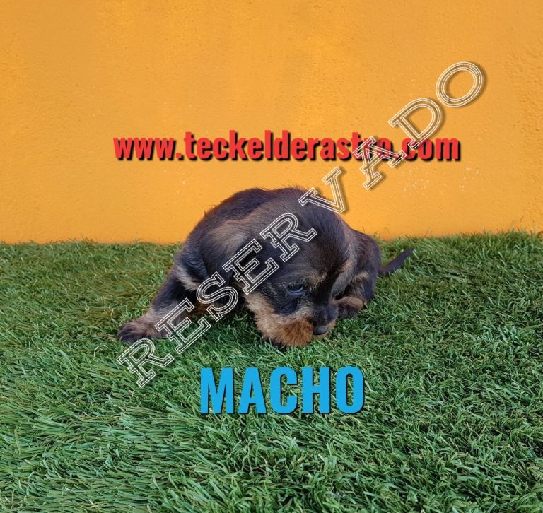 BALÚ