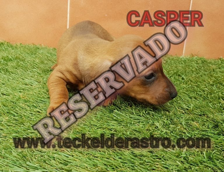 CASPER