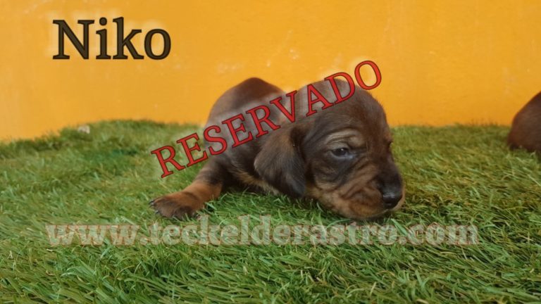 NIKO