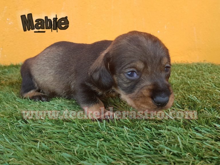 MABIE