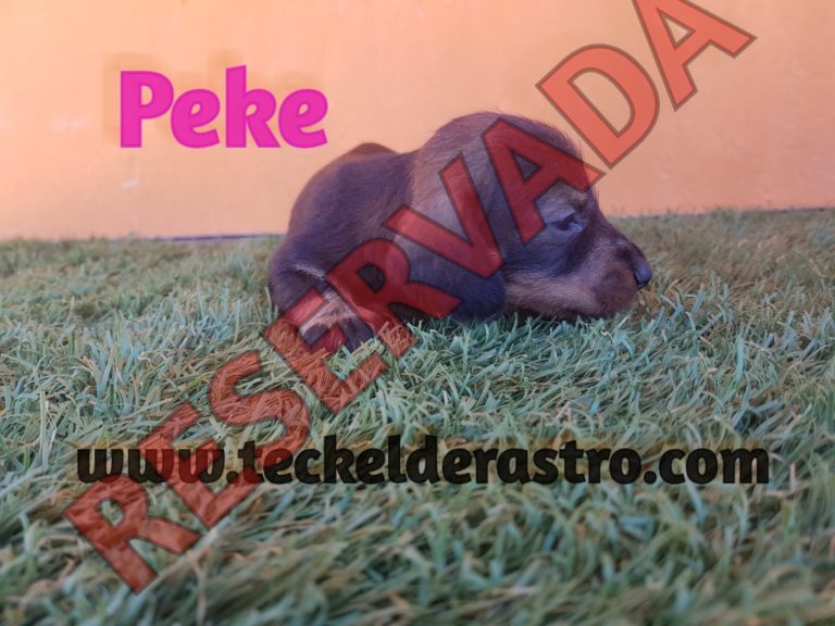 PEKE
