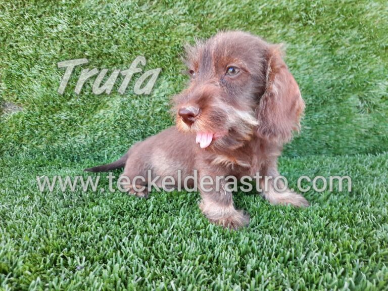 TRUFA