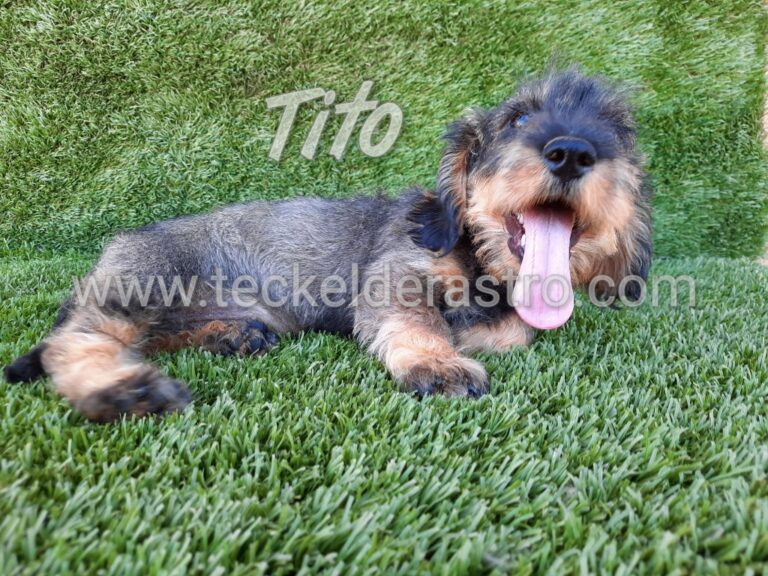 TITO