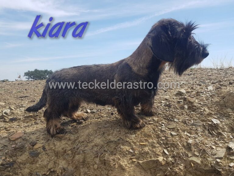 KIARA