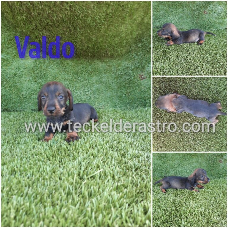 VAIRON