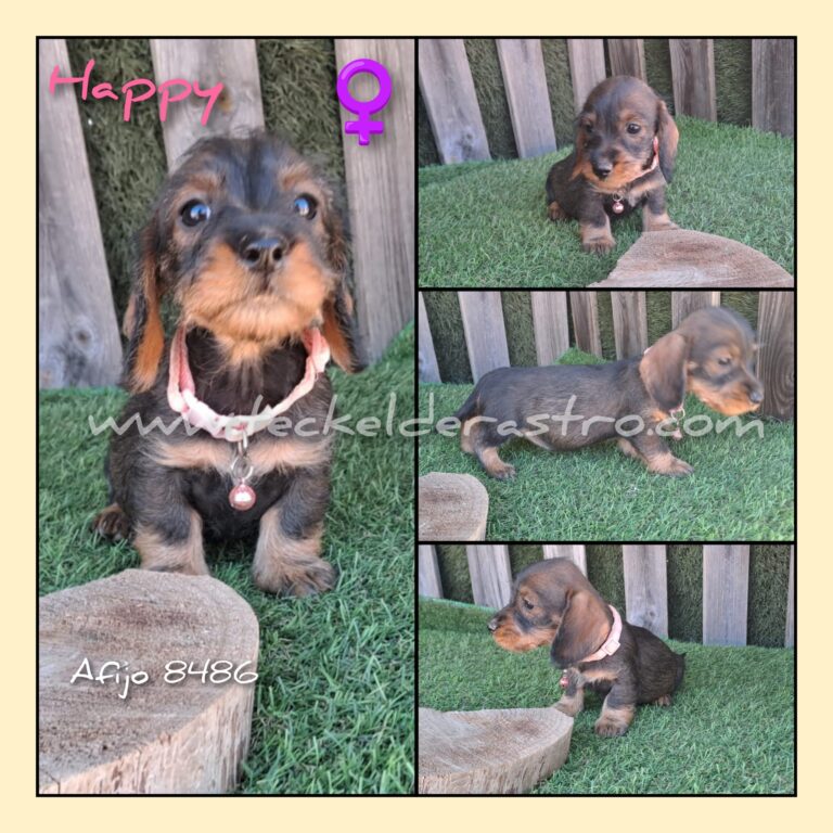 HAPPY pelo duro 1-10-23