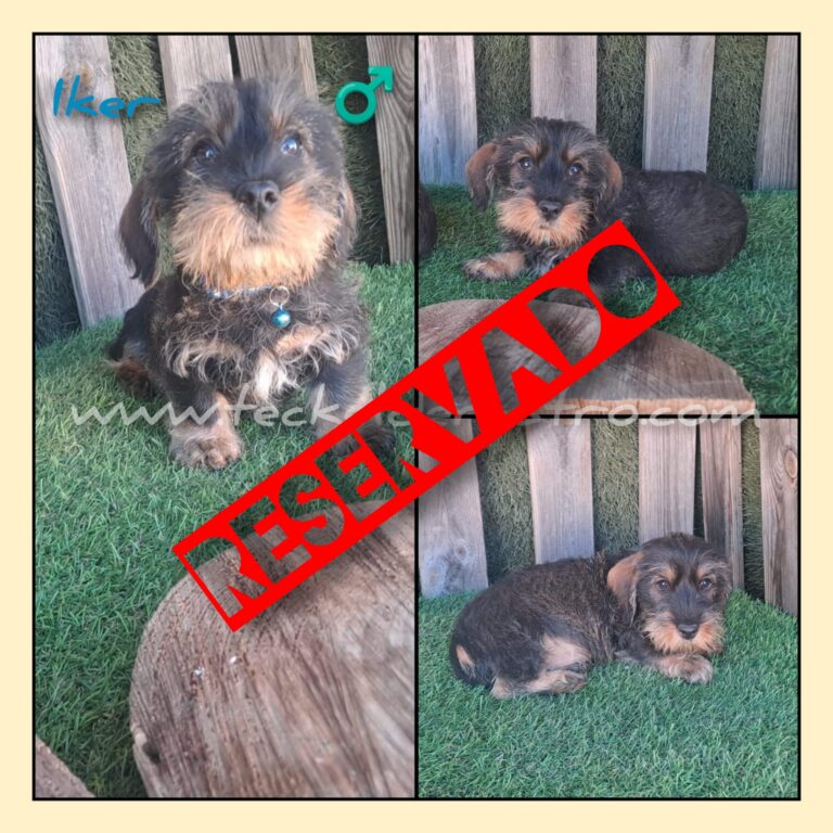 IKER pelo duro 1-11-23