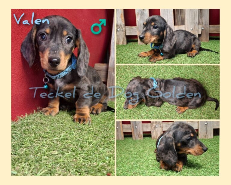 VALEN